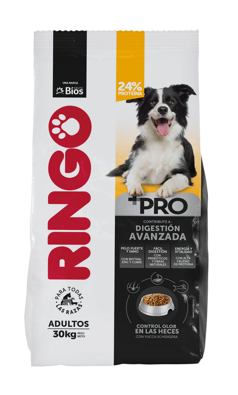 Ringo + Pro Adultos