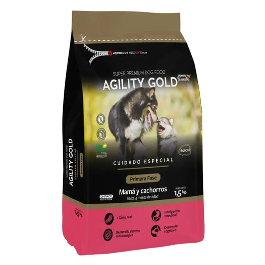 Agility Gold Primera fase