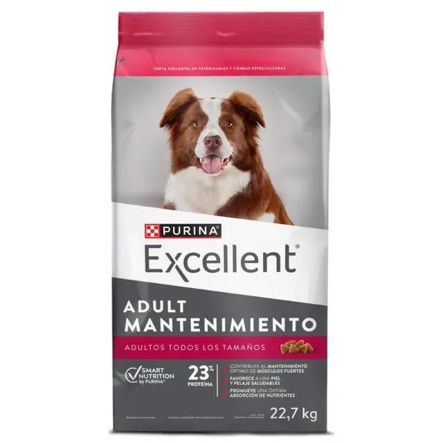 Excellent Bongo