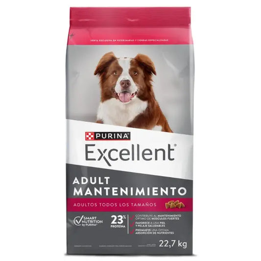 Excellent Bongo