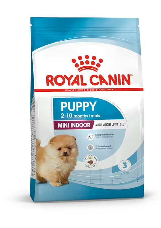royal canin mini puppy